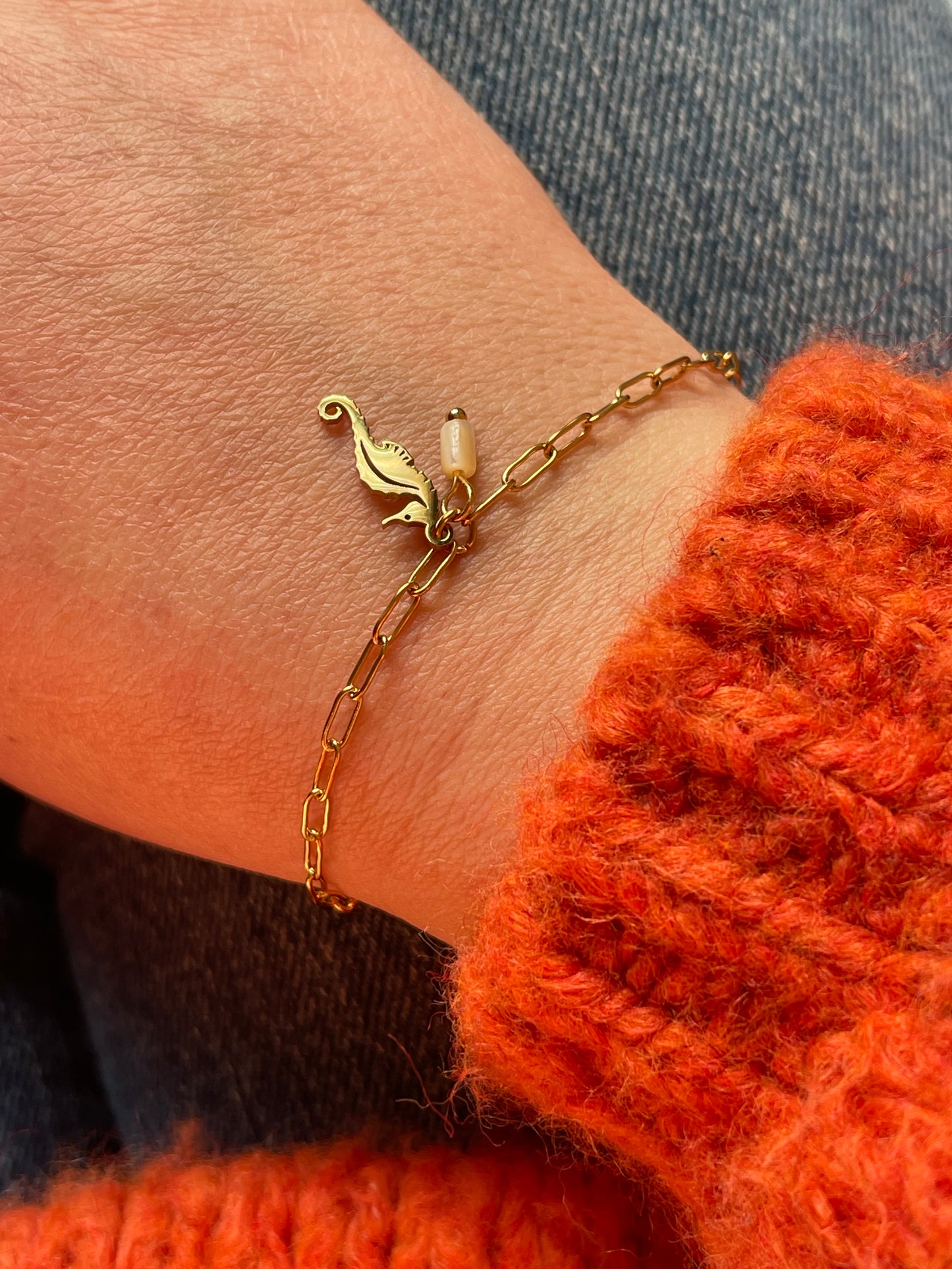 Armband Zeepaardje